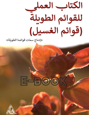 مصنف قائمة الغسيل / Arabic The Laundry List Workbook - E-book