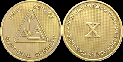 Yearly ACA Bronze Medallions