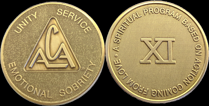Yearly ACA Bronze Medallions – ACA WSO Canada