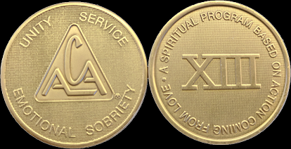 Yearly ACA Bronze Medallions