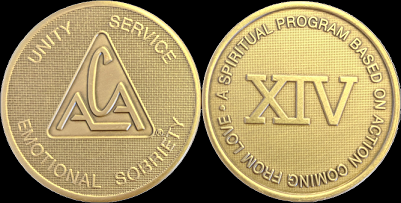 Yearly ACA Bronze Medallions