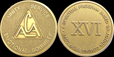 Yearly ACA Bronze Medallions