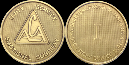 Yearly ACA Bronze Medallions