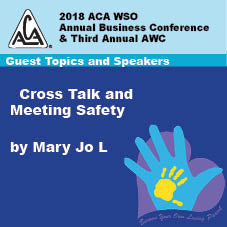 2018 AWC - Mary Jo L - Cross Talk & Meeting Safety (CD non disponible ; téléchargement uniquement)
