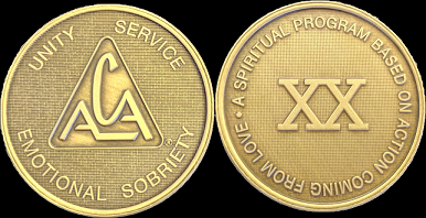 Yearly ACA Bronze Medallions