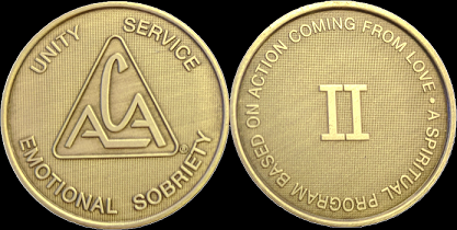 Yearly ACA Bronze Medallions