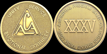 Yearly ACA Bronze Medallions