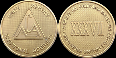 Yearly ACA Bronze Medallions