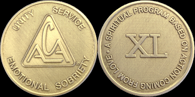Yearly ACA Bronze Medallions – ACA WSO Canada