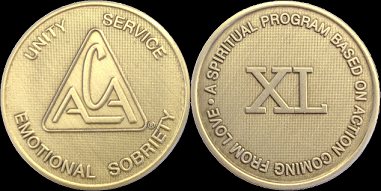 Yearly ACA Bronze Medallions